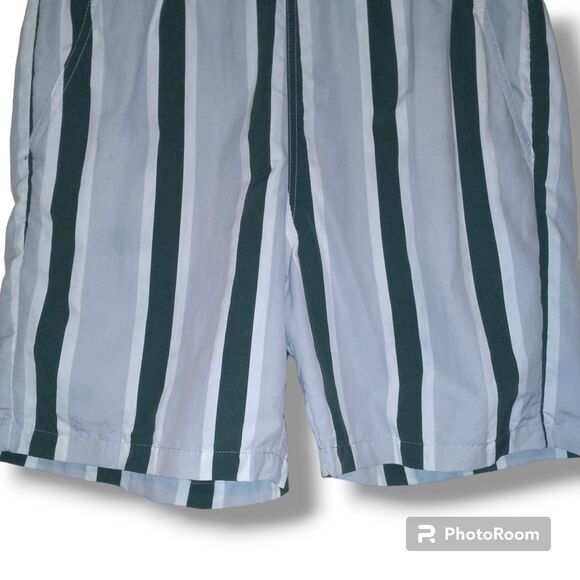 Original Use Striped Swim Trunk Shorts-Small-Mesh Lined-Pockets-Elastic Waist - Picture 3 of 8